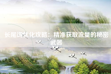 长尾词优化攻略:精准获取流量的秘密武器 长尾词优化攻略:精准获取流量的秘密武器