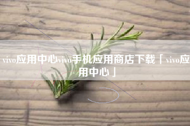 vivo应用中心vivo手机应用商店下载「vivo应用中心」 vivo应用中心vivo手机应用商店下载「vivo应用中心」