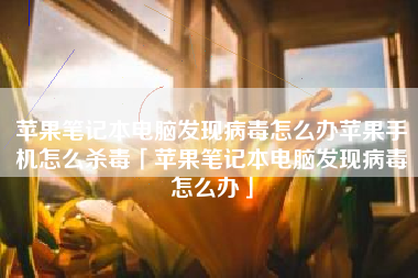 苹果笔记本电脑发现病毒怎么办苹果手机怎么杀毒「苹果笔记本电脑发现病毒怎么办」 苹果笔记本电脑发现病毒怎么办苹果手机怎么杀毒「苹果笔记本电脑发现病毒怎么办」