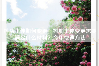 抖店主体如何变更,抖加主体变更需要满足什么材料?今年快速方法 抖店主体如何变更,抖加主体变更需要满足什么材料?今年快速方法