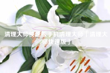 清理大师快速版手机清理大师「清理大师快速版」