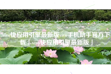 vivo快应用引擎最新版vivo手机助手官方下载「vivo快应用引擎最新版」 vivo快应用引擎最新版vivo手机助手官方下载「vivo快应用引擎最新版」