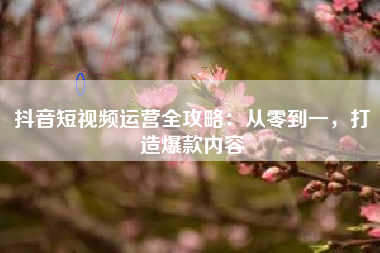 抖音短视频运营全攻略:从零到一,打造爆款内容 抖音短视频运营全攻略:从零到一,打造爆款内容