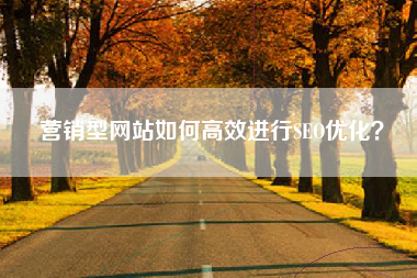 营销型网站如何高效进行SEO优化? 营销型网站如何高效进行SEO优化?