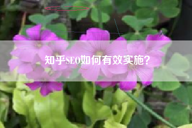 知乎SEO如何有效实施？