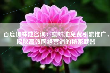 百度蜘蛛池咨询:蜘蛛池免费引流推广,揭秘高效网络营销的秘密武器 百度蜘蛛池咨询:蜘蛛池免费引流推广,揭秘高效网络营销的秘密武器