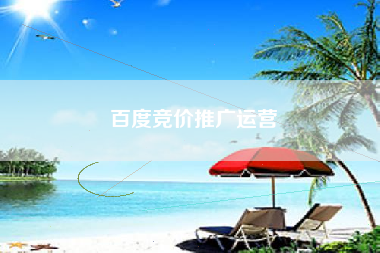 百度竞价推广运营