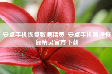 安卓手机恢复数据精灵_安卓手机数据恢复精灵官方下载 安卓手机恢复数据精灵_安卓手机数据恢复精灵官方下载